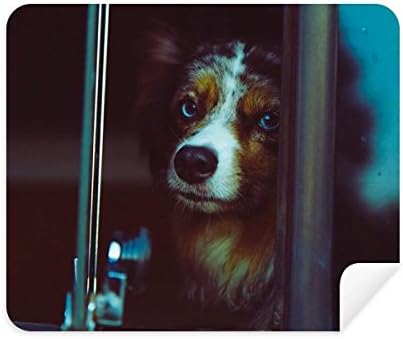 כלב חיות מחמד בעלי החיים בודד תמונה ניקוי בד מסך מנקה 2 יחידות זמש בד