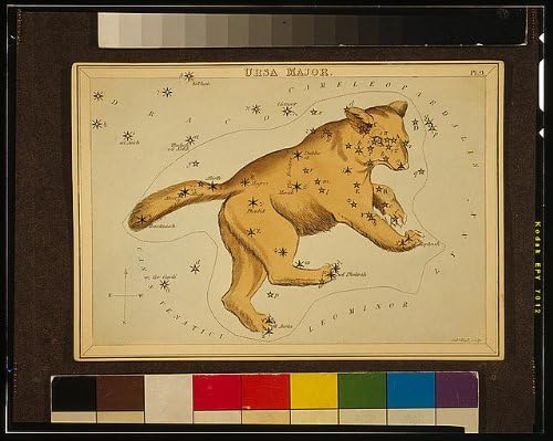 צילום היסטורי -פינדס: אורסה מייג'ור, קונסטלציה, אסטרונומיה, תרשים אסטרונומי, 1825, דוב