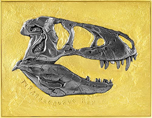 2023 de tyrannosaurus rex מאובנים Powercoin מוזהב 1 גרם מטבע כסף 5000 פרנק צ'אד 2023 גימור עתיק