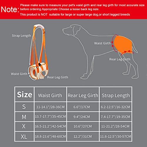 כלב קלע אחורי רגליים כלב רגל אחורית תמיכה כלב תמיכה לרתום עבור רגליים אחוריות עבור חיות מחמד ניידות עוזר כלבים עם יציבות ירודה דלקת מפרקים