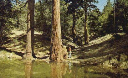 הר ווילסון פארק סקייליין, גלויה קליפורניה